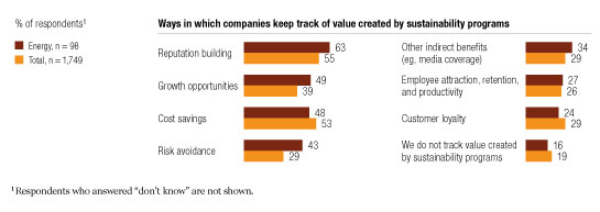 How Companies Manage Sustainability | McKinsey